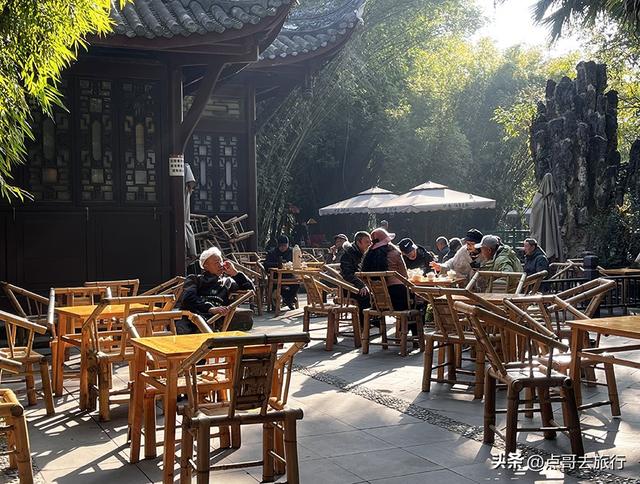 成都被私藏的彩林公园，流金溢彩，充满老城烟火气，地铁公交直达