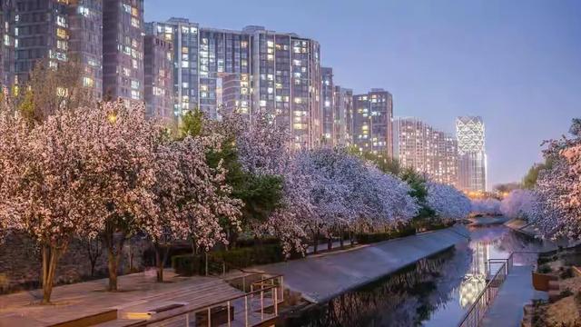 在儿子家带娃7年，孙子上学我拿60万买养老房，儿媳却让我不要走