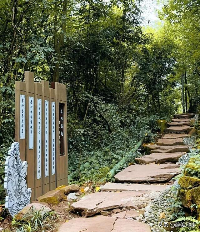 秋日轻徒步去哪？就来成都邛崃天台山！