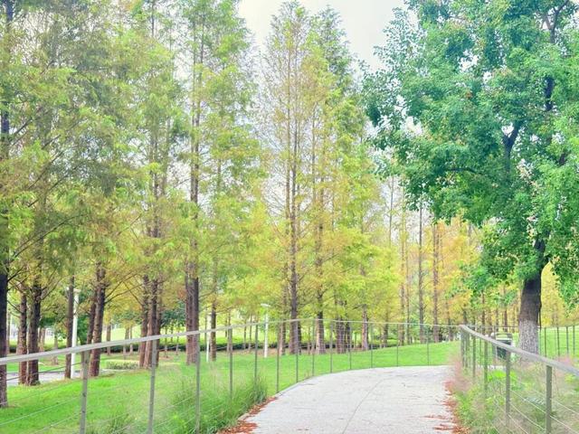 经开秋日限定美景，正在上新！