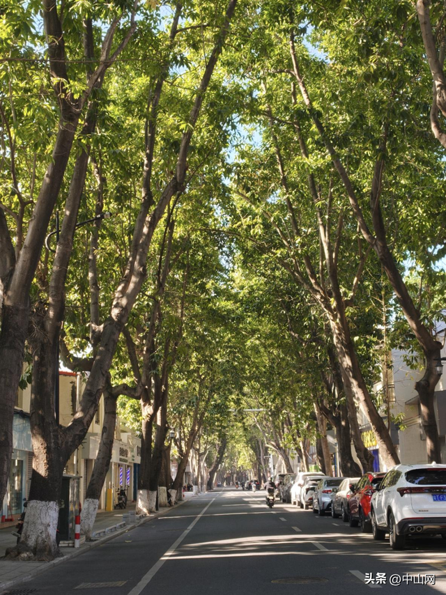 最近很火！中山版“画马”来了