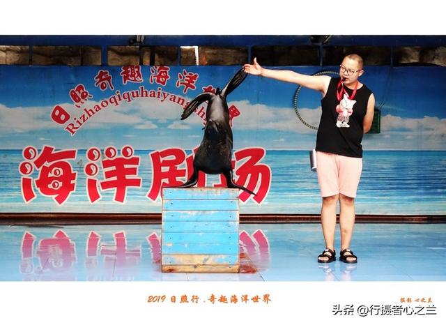 山东行游影记（92）—日照奇趣海洋世界（三）