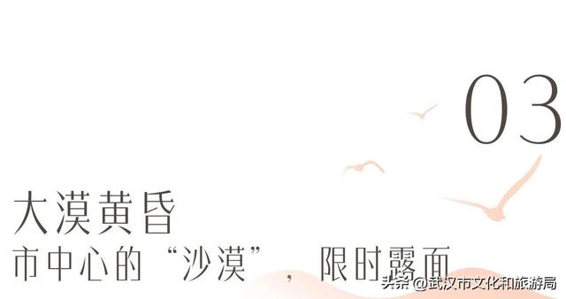 沙漠踏雪，只在武汉，最佳观赏期到了！