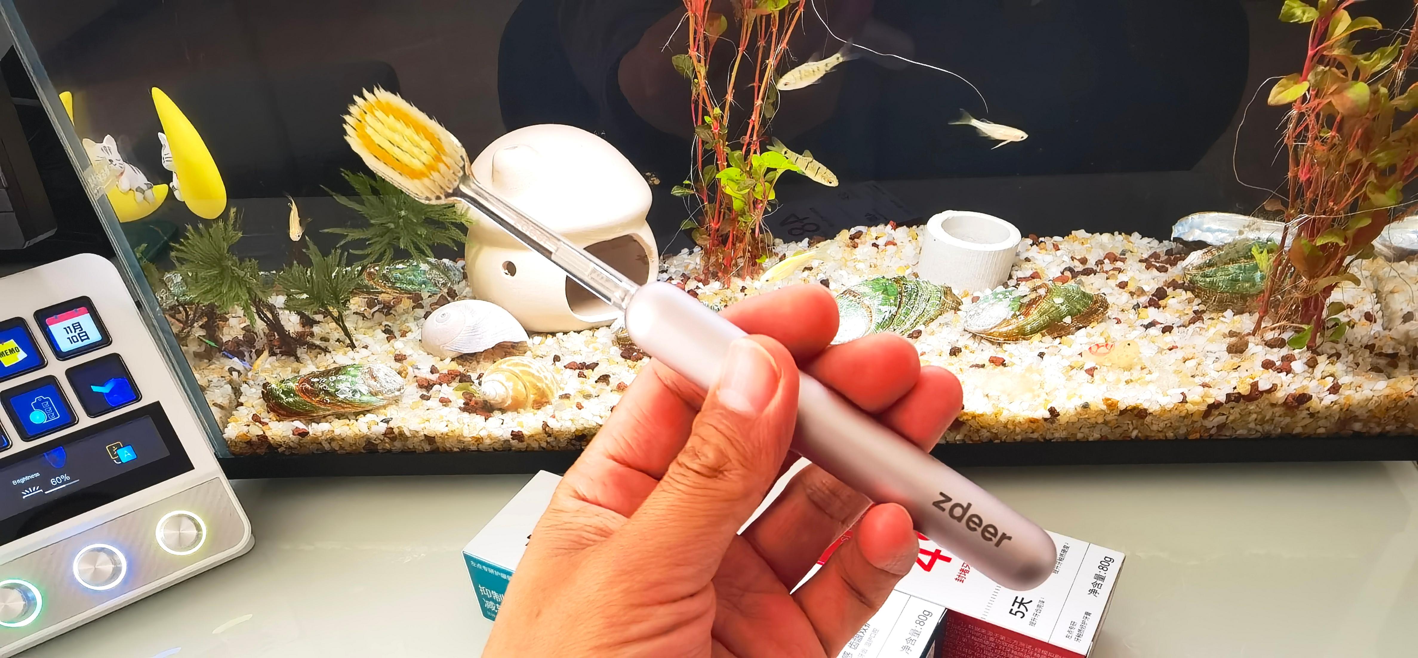 牙釉质修护再生硅牙膏护龈健齿配奢侈风金属柄牙刷,坏牙佬有救了