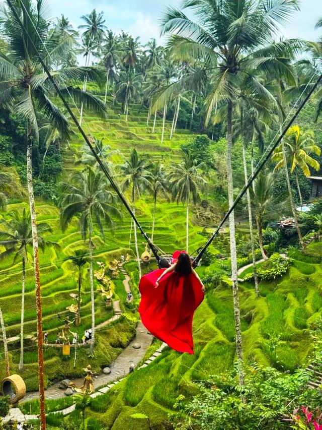 刚回来！巴厘岛6天5晚旅游攻略，全程专车接送，跟着玩就对了！