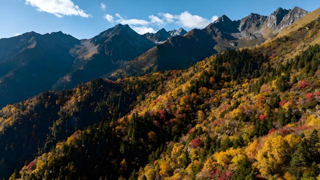 金风裁云绘穹庐，秋色蘸露染圣城 —— 雪域高原上的鎏金诗卷