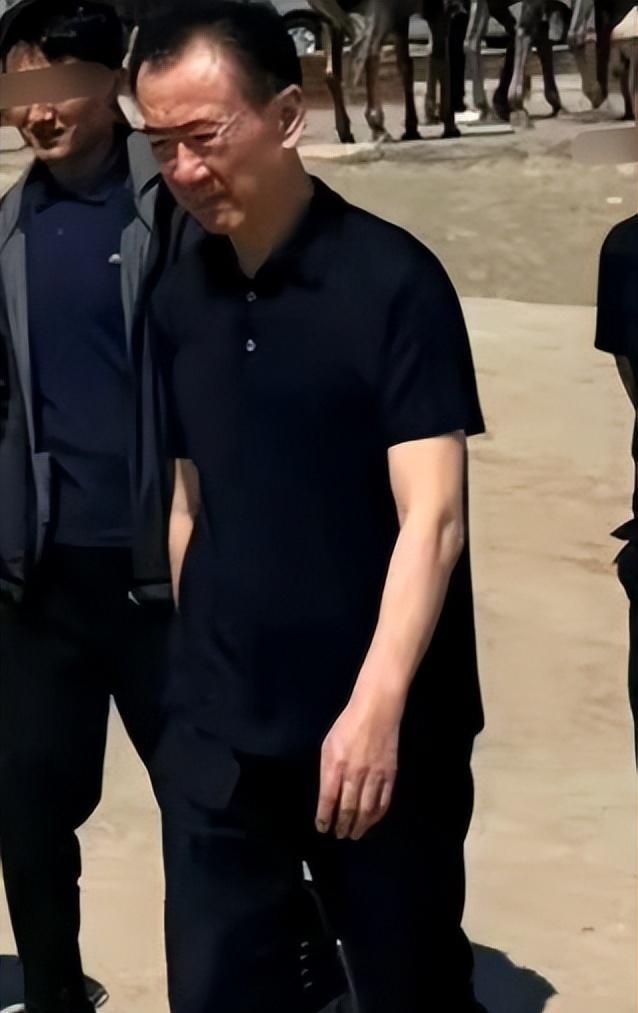 挥霍无度、风流成性，71岁的王健林，惨遭亲儿子王思聪的“反噬”