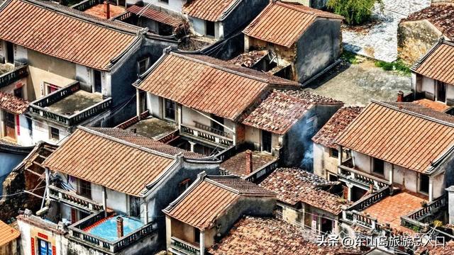 海岛的枫叶红了，走！一起赏枫去，体验海岛秋日美好