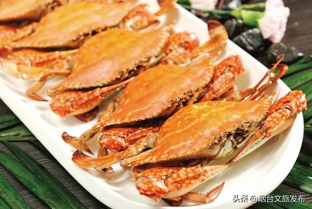 【乐游烟台】一眼惊艳!烟台这座小城最近太火了