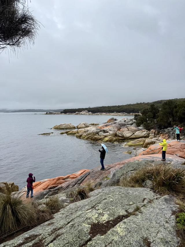 澳大利亚22日世界文化遗产与自然之旅游记+攻略