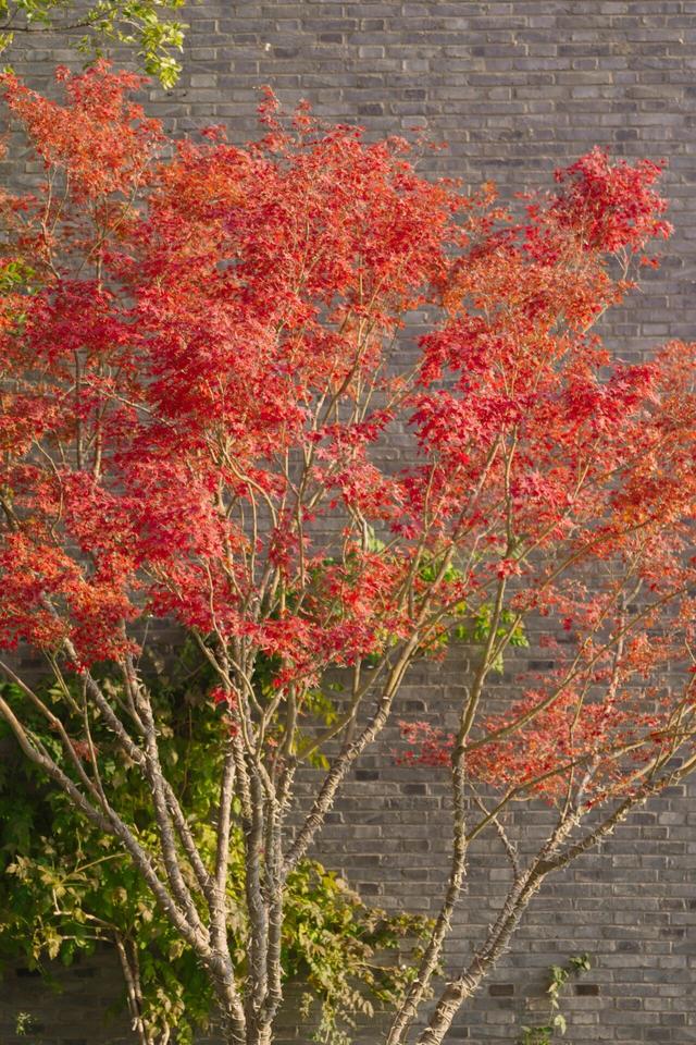 串场河畔，藏着 “橙黄橘绿” 的浪漫暴击~