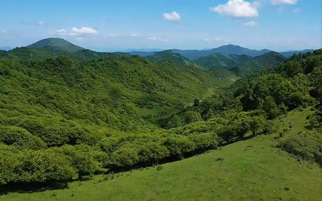 山水怡情，静享时光！礼县这条生态旅游线路，等你解锁→