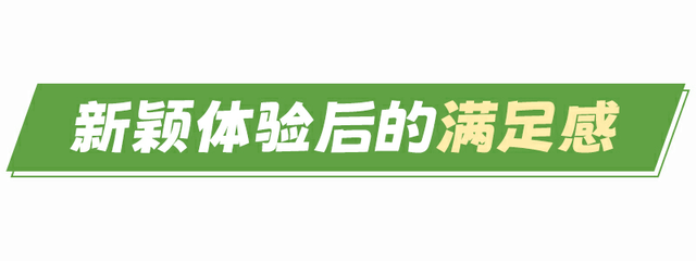 被“窝囊游”治愈的福建人，正在享受人生！