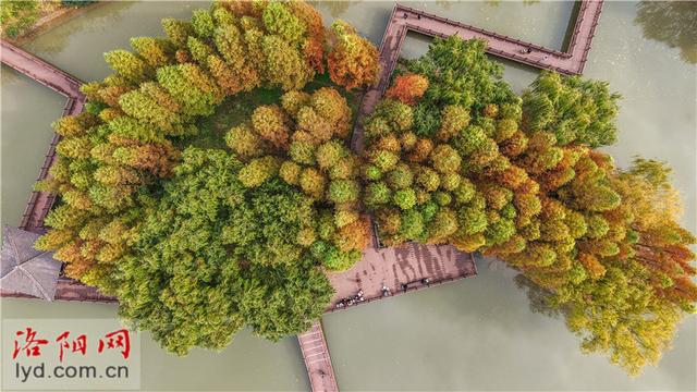 兴洛湖公园景如画