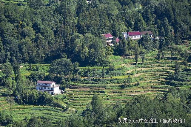 登高望远赏秋收