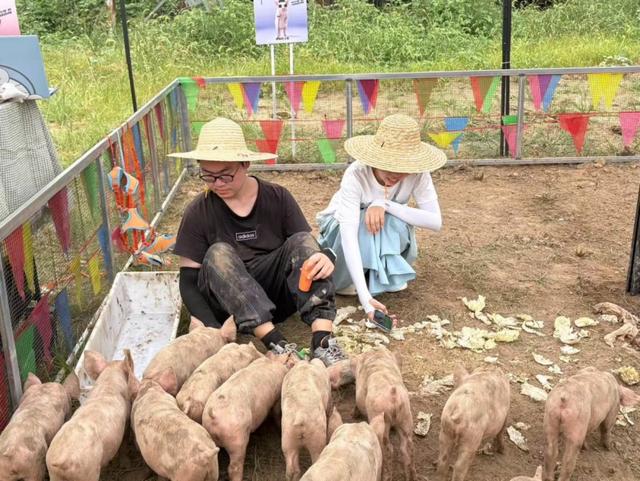 AI赋能养猪？00后探寻“天选之猪”的奇妙之旅