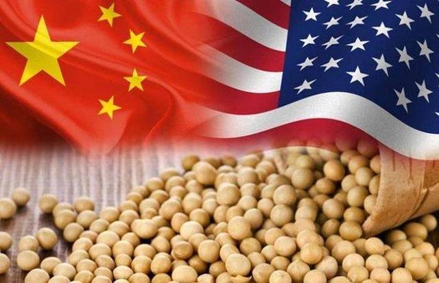 十国围堵中国稀土，中方靠技术破局，芯片、反制法双管齐下