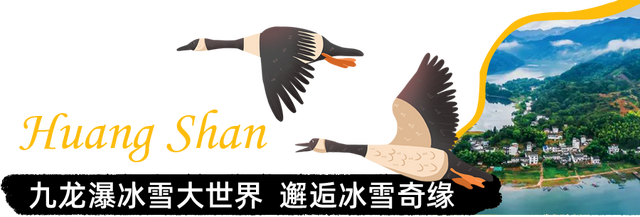 “大雁伴飞”“冰雪世界”！排队预警！开业即“顶流”，正式入驻黄山！