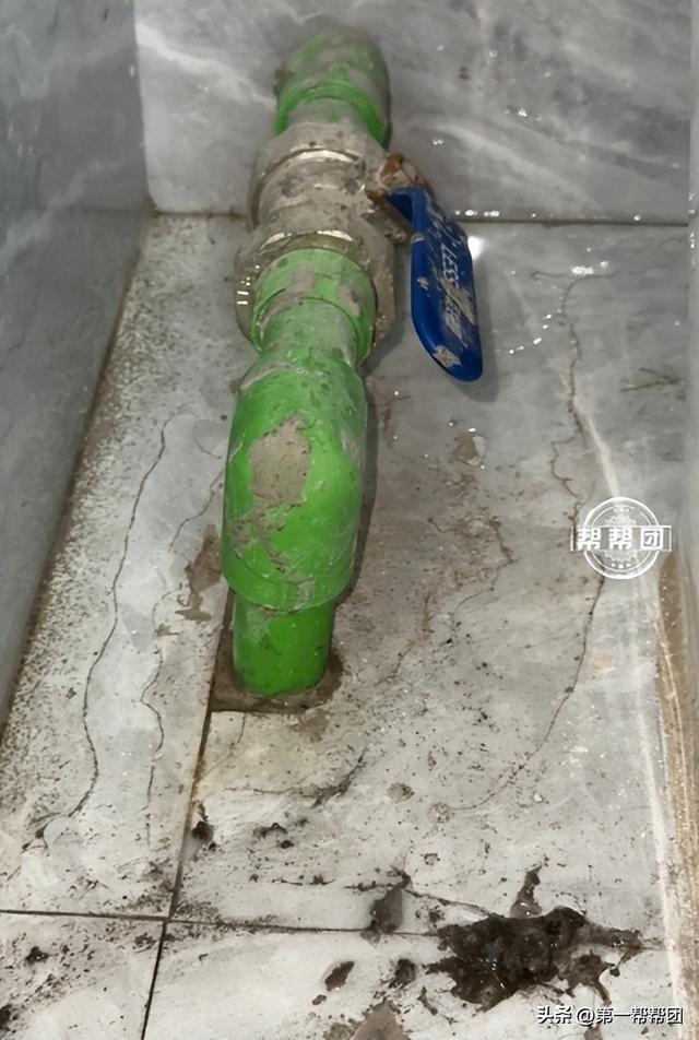 花小胶价格 小花胶是什么意思