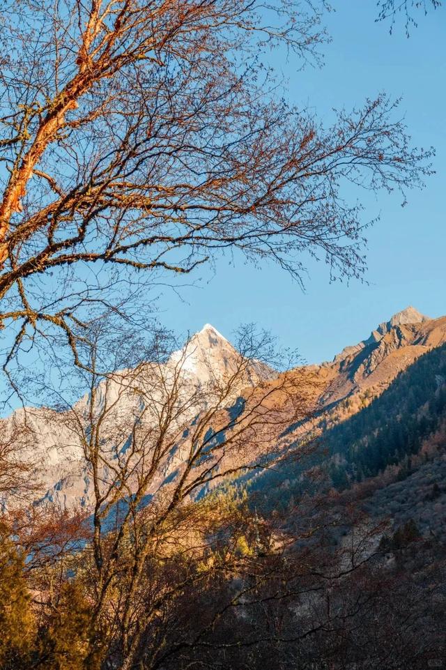秋天的四姑娘山，我要给你五颗星！