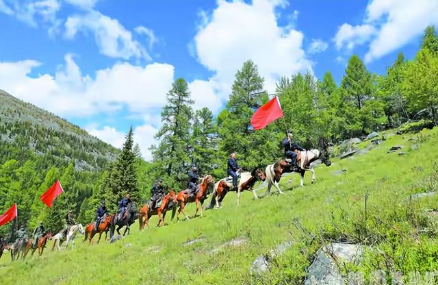 雪豹咬人真相澄清！央视断言：女子违规靠近雪豹，景区警告当摆设