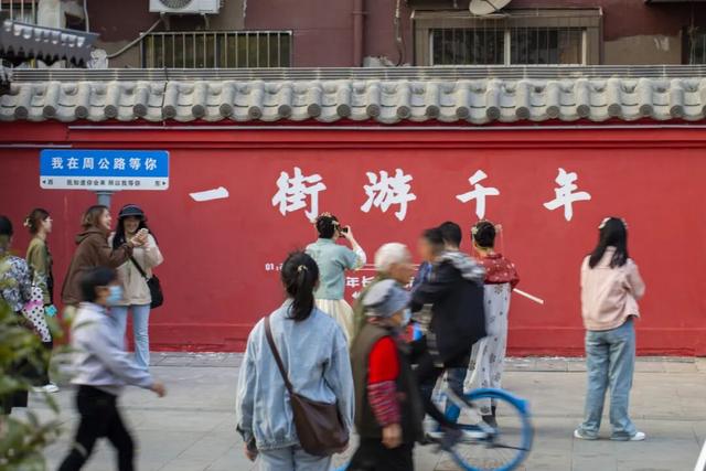 趁天晴出发！洛阳这片杉林红了！无需门票…