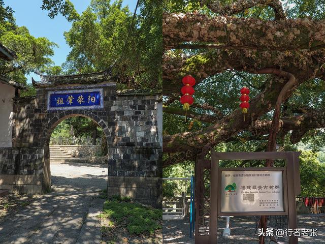 走遍福建古村落，武陵溪边六百年古村，九棵古榕九条古巷古街古井