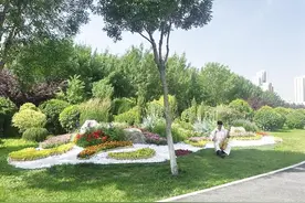 花境《碳索青城》 绿色低碳理念打造园林新景观图片