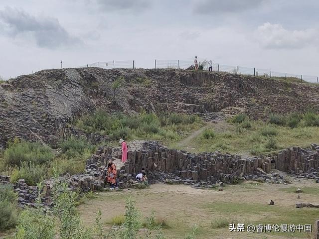寻找谷力脑包