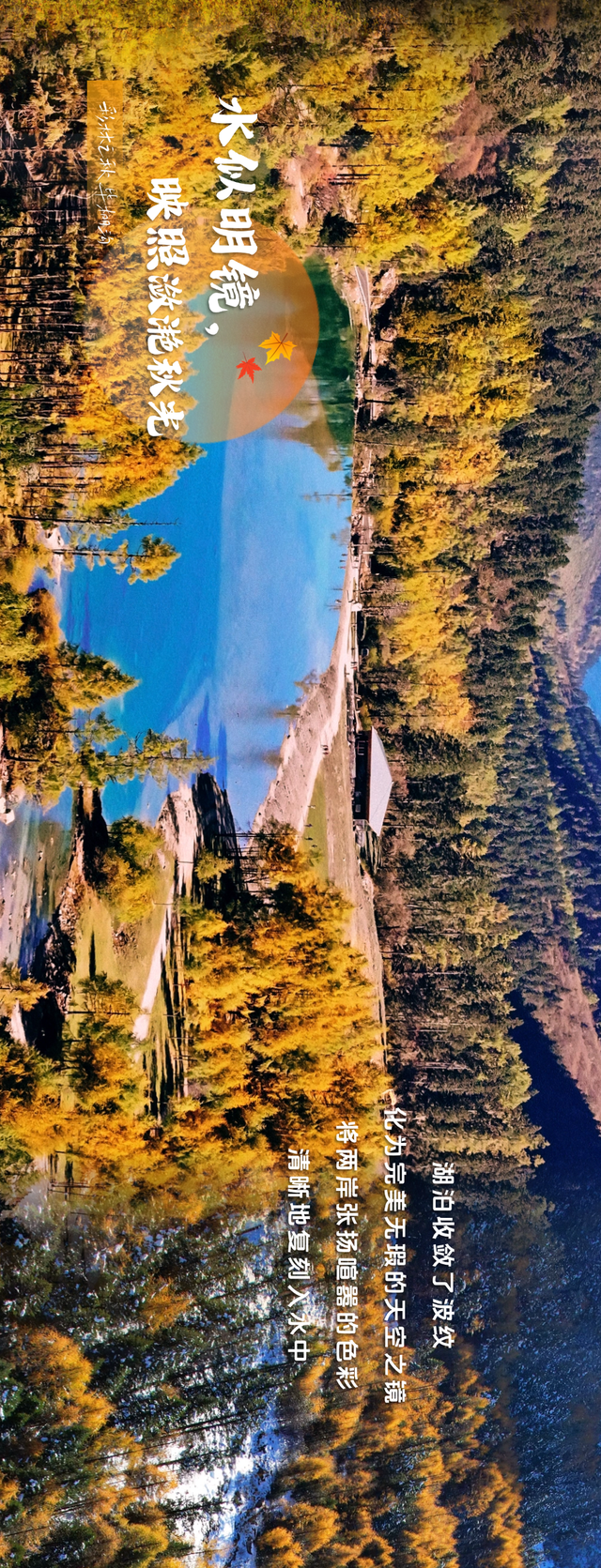 拍了拍毕棚沟的秋天：你的色彩已存档！