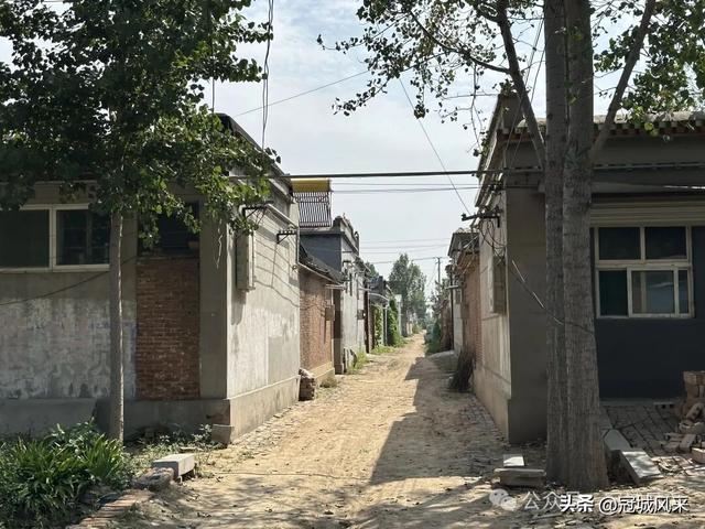 冠县乡韵·定远寨镇前杏园村