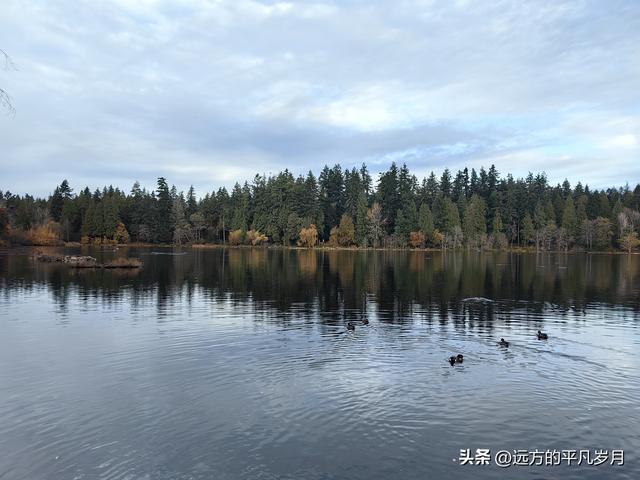 温哥华游记（一）