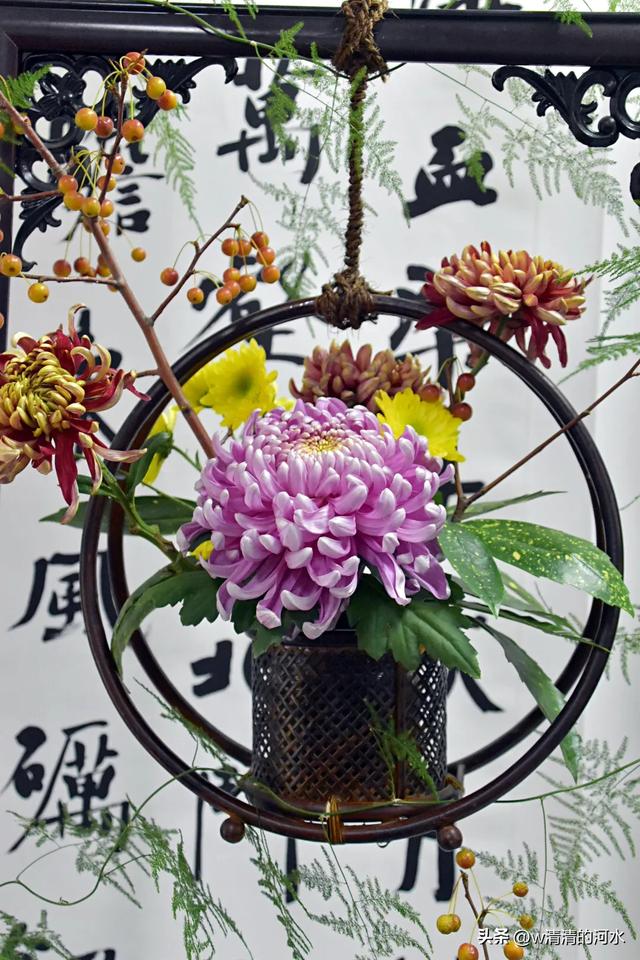 菊花是秋天里绝美的画卷