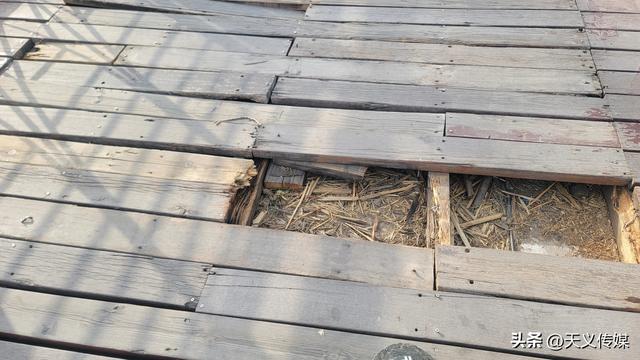 潍坊鸢都湖桥面维护不当，年久失修木板腐烂，存在安全隐患，