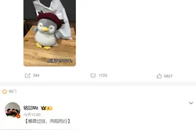 光合积木几乎所有核心成员同日告别图片
