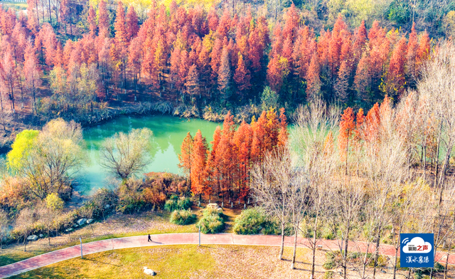 哎呀！谁打翻了襄阳“调色板”！