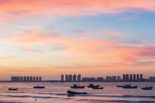 去烟台龙口旅游,海菜包4元一个,凉拌海菜20元一盘,你看值吗?