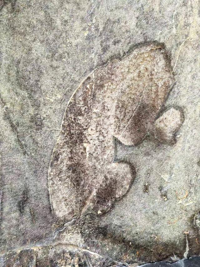 带你领略黑山岩画及石关峡