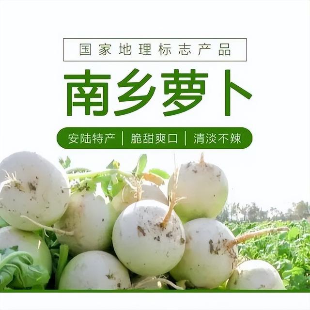 玩转安陆，“码”上开启！