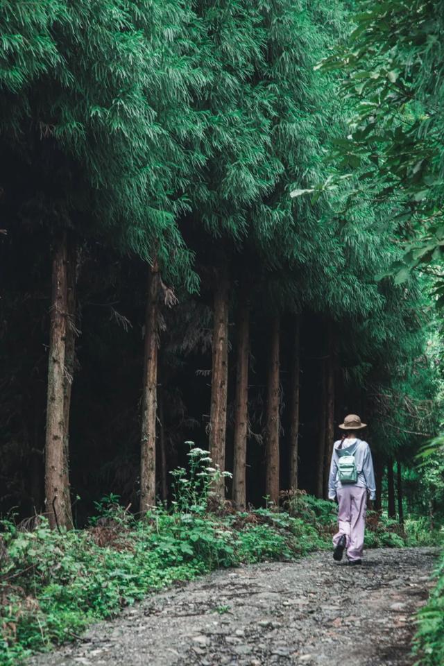 全部免费！成都周边10条最适合9月的徒步线，沿途风光美爆！当天来回不费腿！