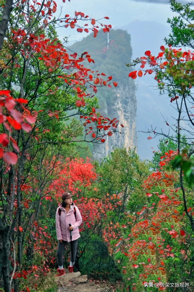 徒步三峡：霜叶漫山处，一步一千年