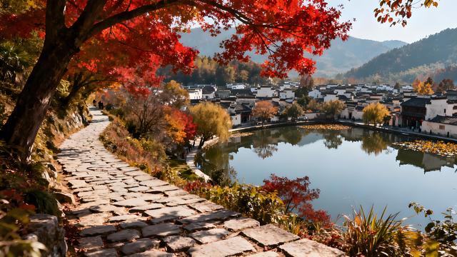 南湖秋雾映徽韵，古村岁稔醉秋光 —— 安徽黄山宏村赏秋手记