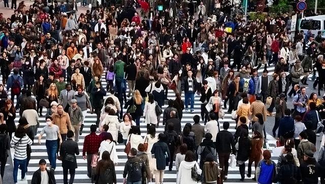 全国出生人口断崖：21年1062万人，24年954万，25年令人意想不到