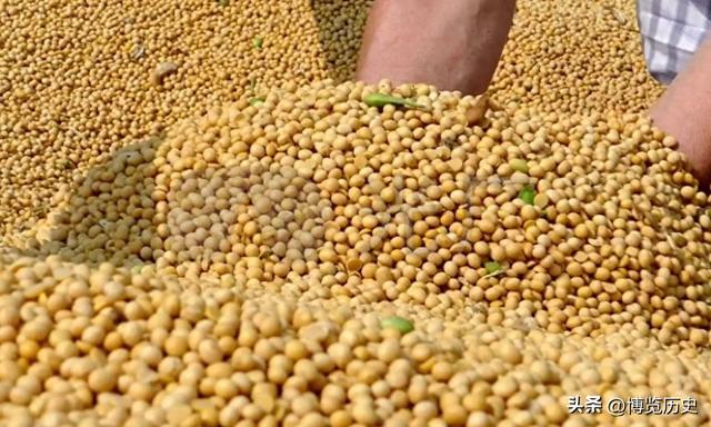 中方连续2天下单，227万吨大豆运往中国，这一次，轮到特朗普接招