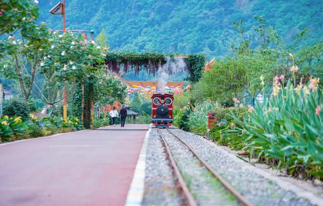 【本草四川・康养天府】融合新篇②丨山水间的康养密码！四川这些地方把本草种进文旅里