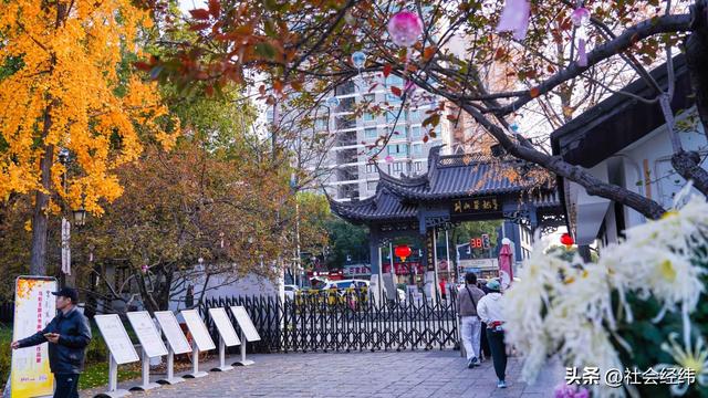 每日一景|封神赏景地·莫愁湖