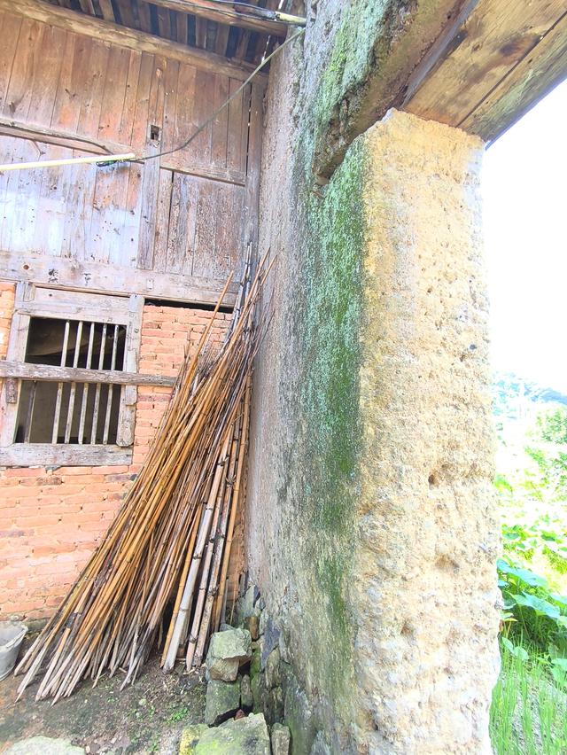 福建 · 福州 · 大湖 · 一村一品：岭头村(2025·7·28～8·1)