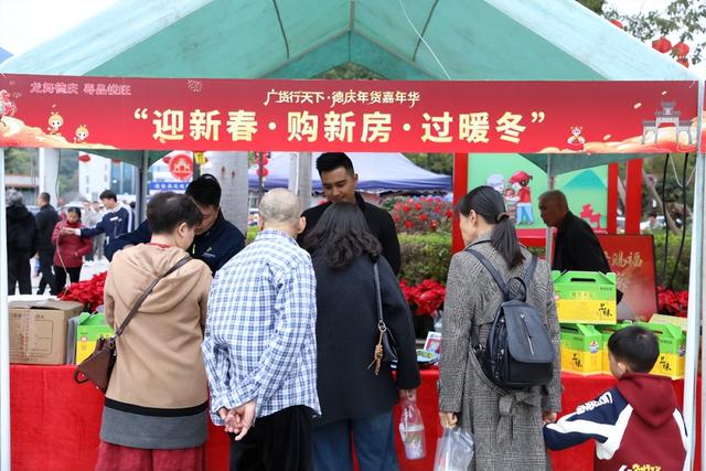 攻狮子、大巡游……元宵节，来德庆狂欢一整日！