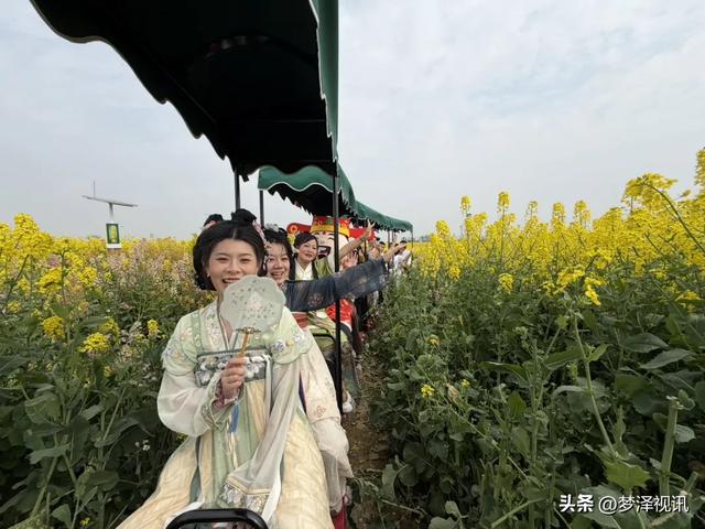 云梦县胡金店镇:花海遇国风 财神送好运