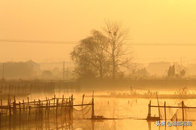 冬日的无锡白米荡风光